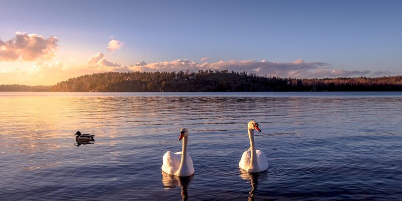 Exklusiva hotellupplevelser i Sverige